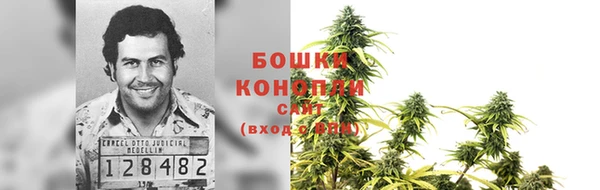 ПСИЛОЦИБИНОВЫЕ ГРИБЫ Абдулино